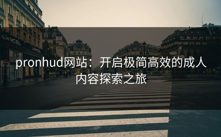 pronhud网站:开启极简高效的成人内容探索之旅