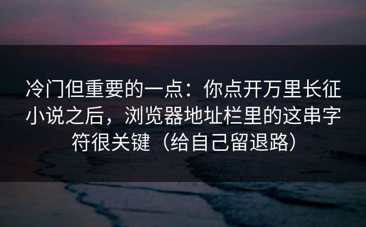冷门但重要的一点:你点开万里长征小说之后,浏览器地址栏里的这串字符很关键(给自己留退路)